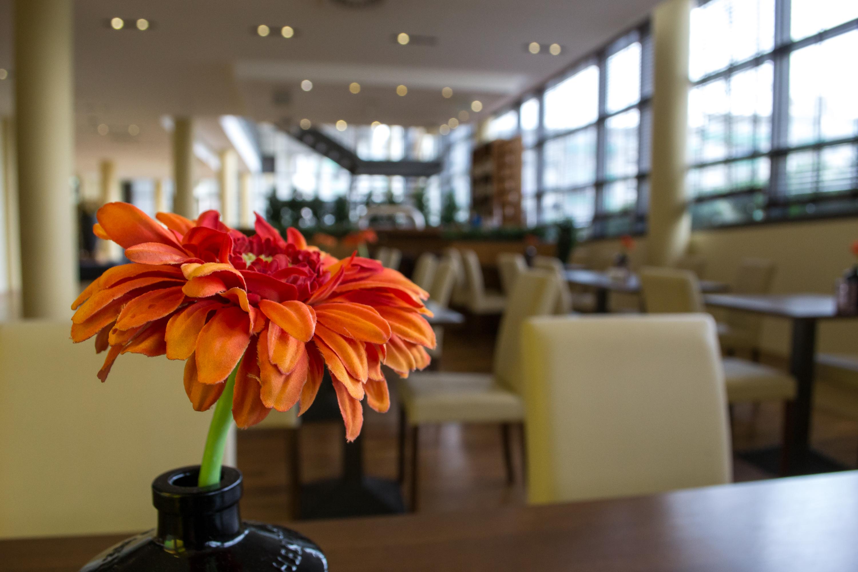 Relexa Hotel Ratingen City Extérieur photo